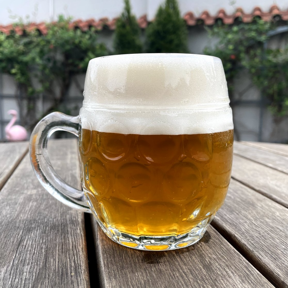American Pale Lager 11°