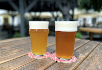 New beers on tap - Nelson Ale & Simcoe Ale
